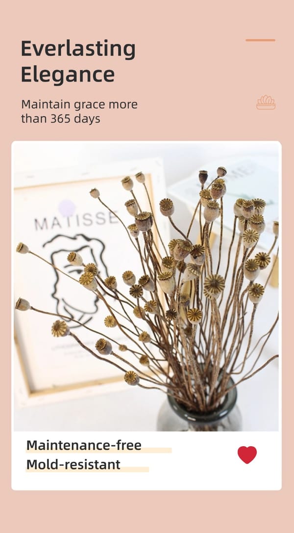 dried flower supplier