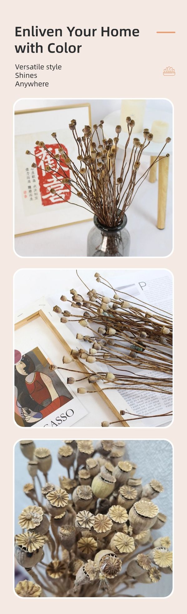 Dried Corn Poppy wholesale