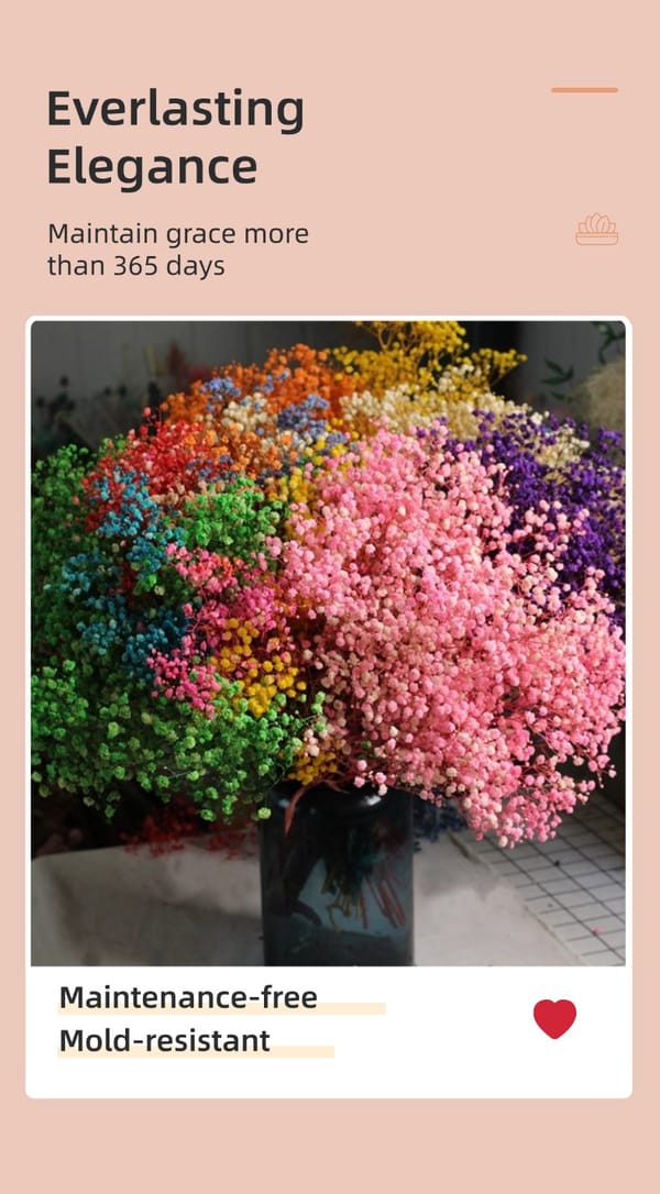Gypsophila/Babys Breath wholesale