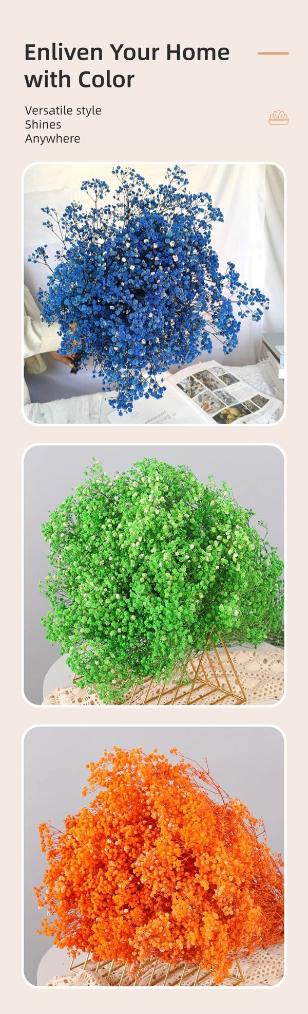dried flower producer