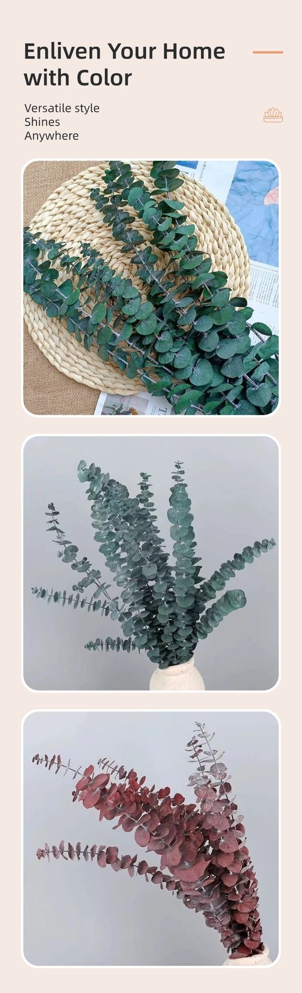 dried flower wholesale
