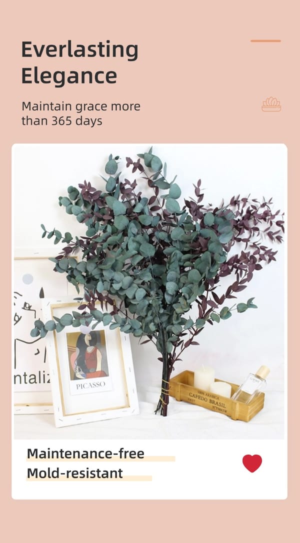 Eucalyptus fine leaf producer
