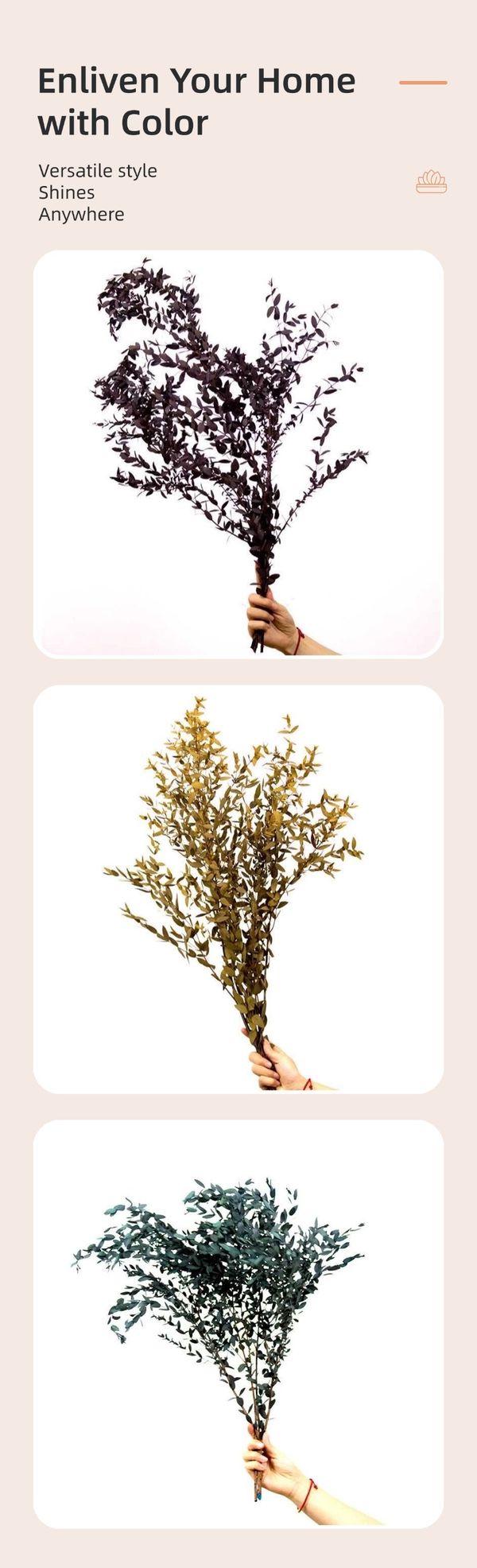 dried flower supplier