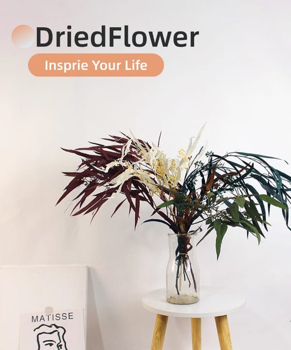 Seeded Eucalyptus supplier