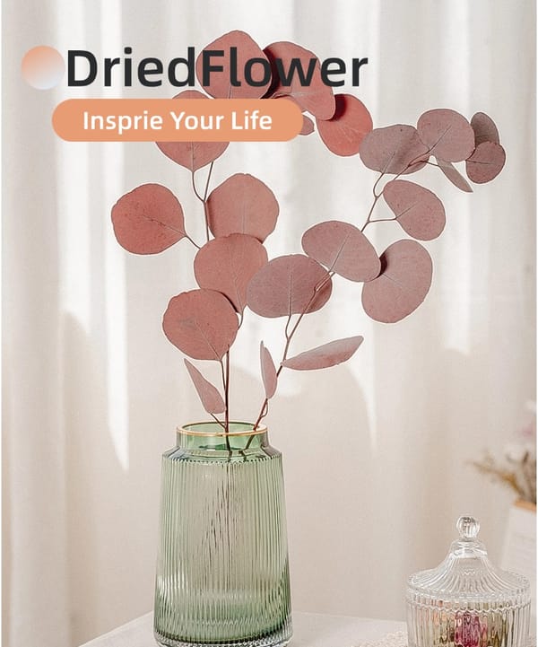Silver Dollar Leaves supplier