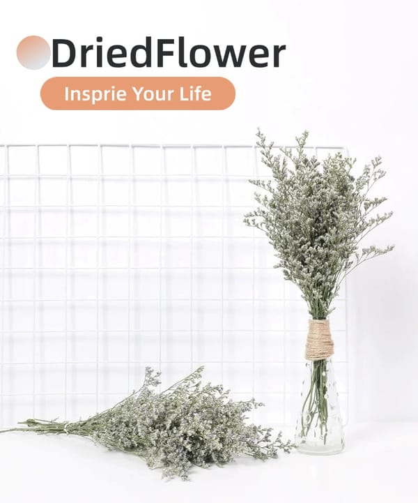 Limonium supplier