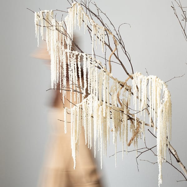 dried flower Low MOQ