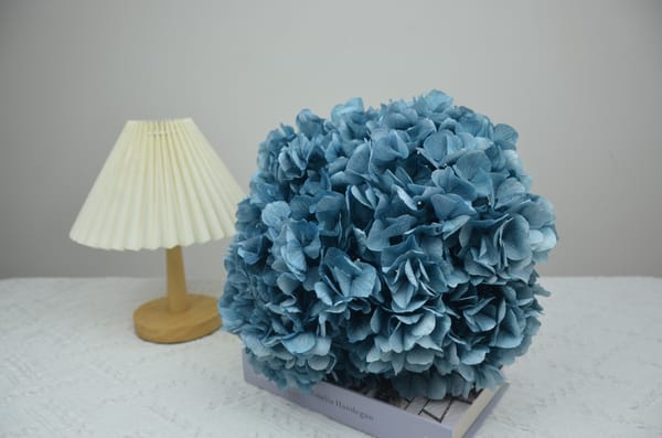 immortal flower wholesale