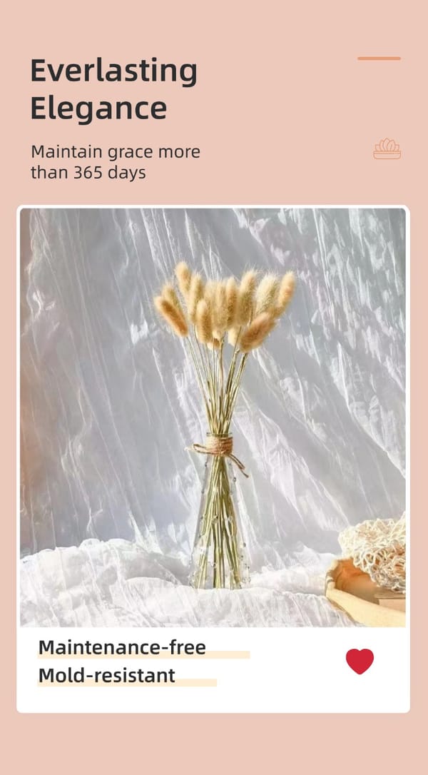 Bunny Tail Grass wholesale