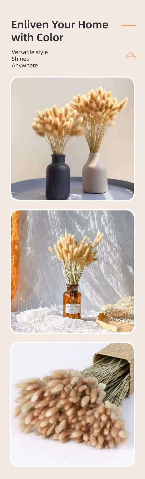dried flower supplier