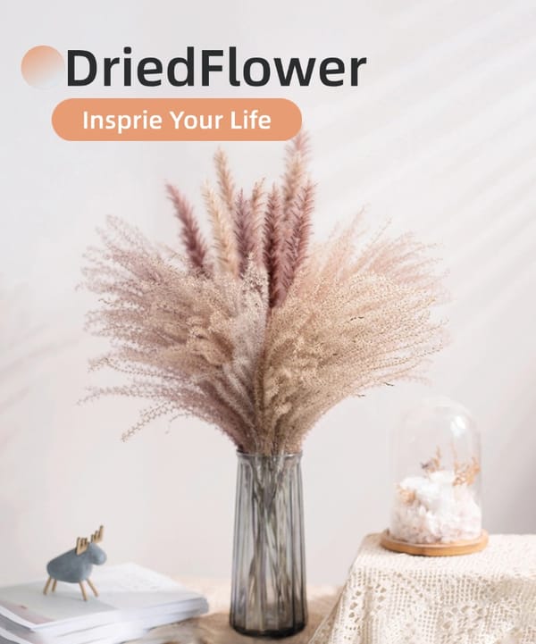 Pampas Grass supplier