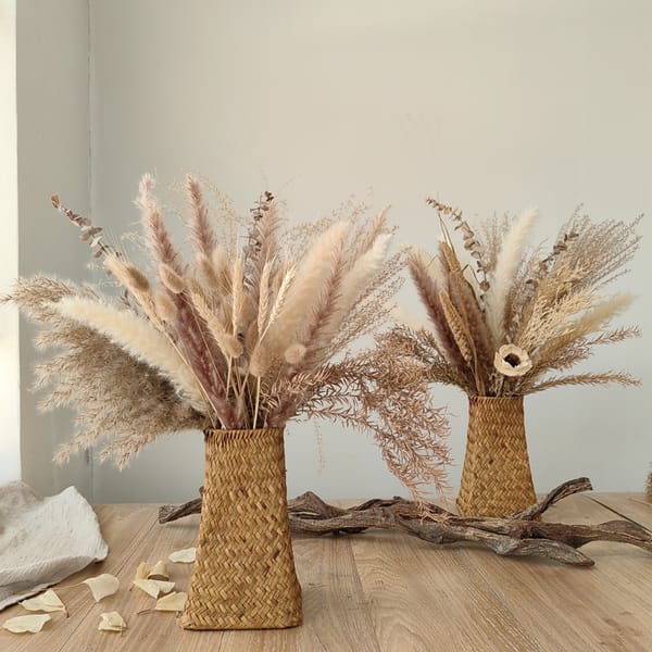 pampas grass distributor