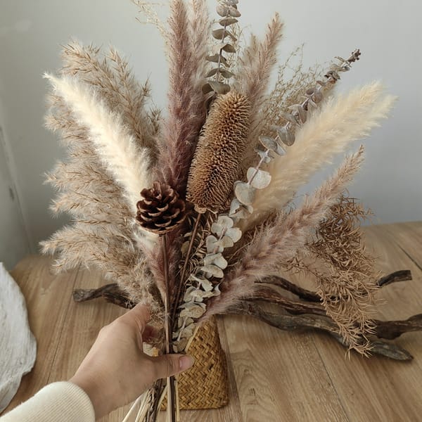 pampas grass factory source
