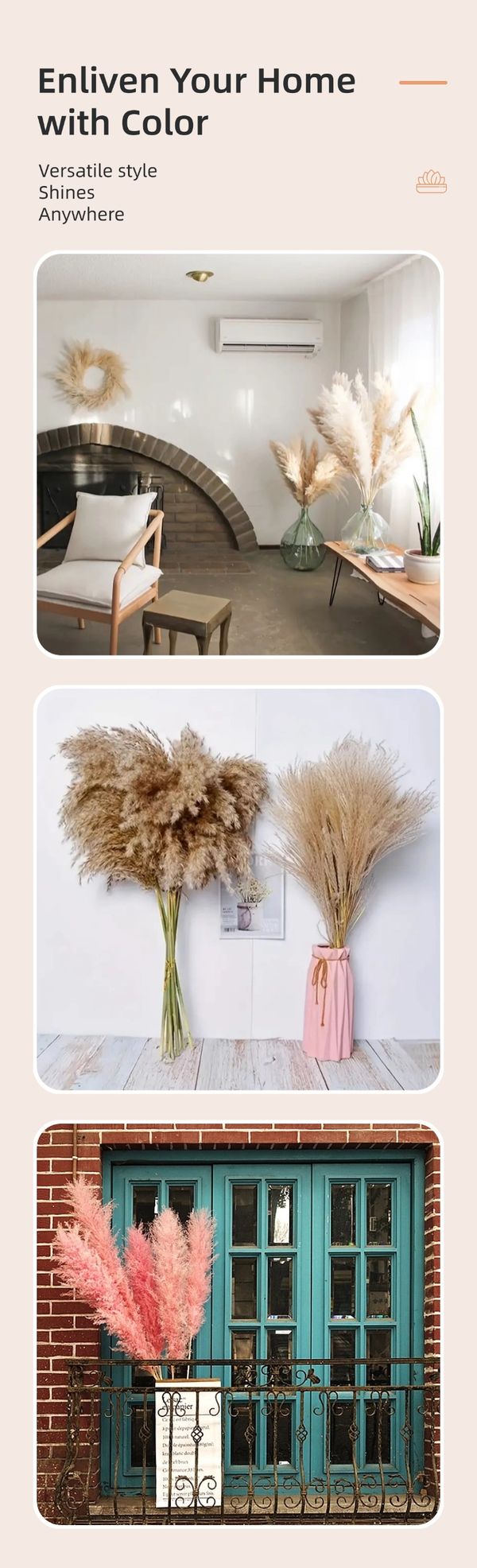 dried flower supplier