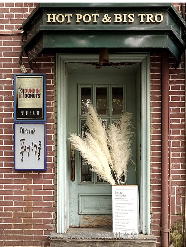Premium Large Pampas Grass Low MOQ