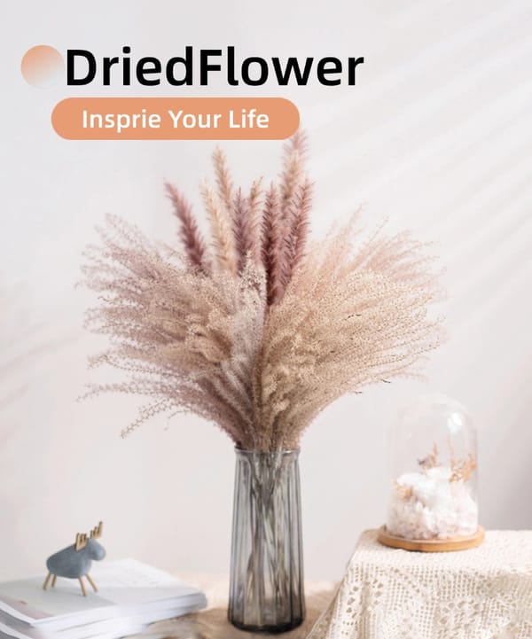 Reed Grass supplier