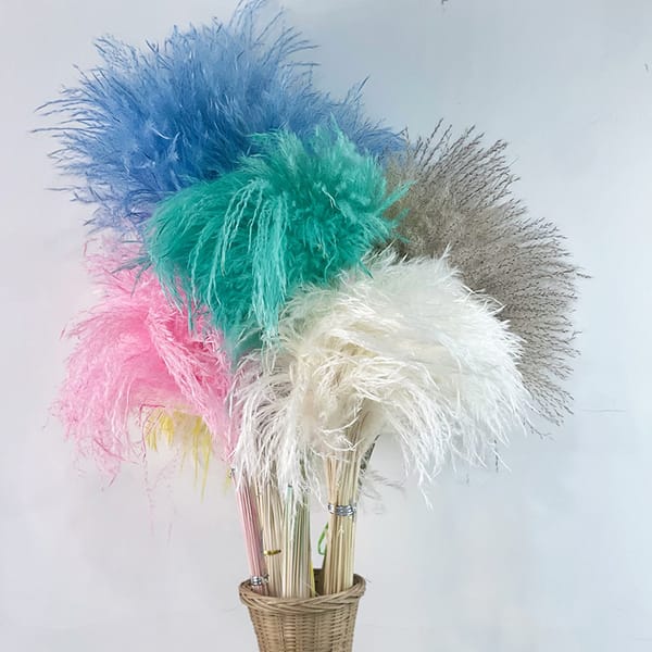 dried Reed Grass multicolor