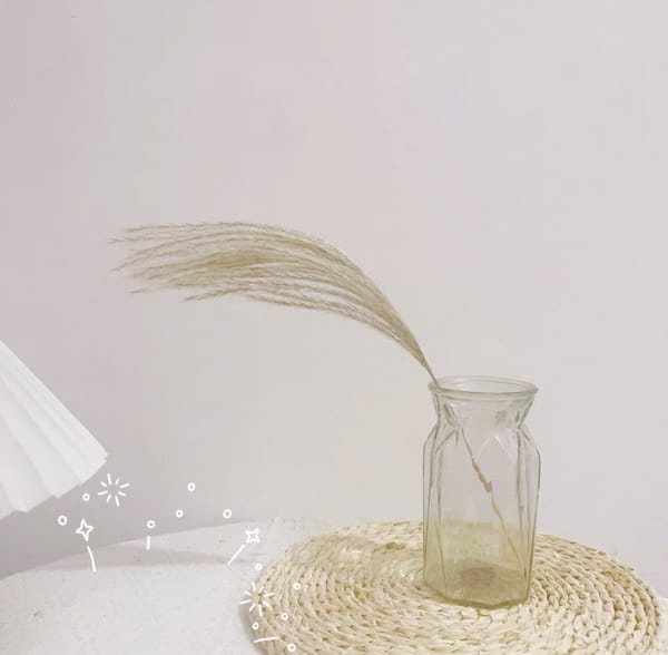 single dired Reed Grass