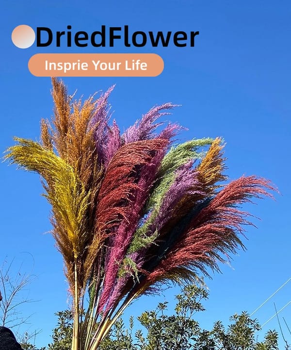 Hardcore Reeds supplier