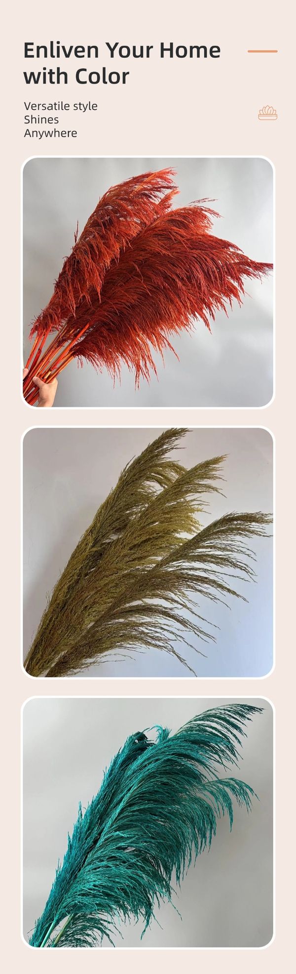 dried flower supplier