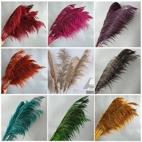 Hardcore Reeds Color Card