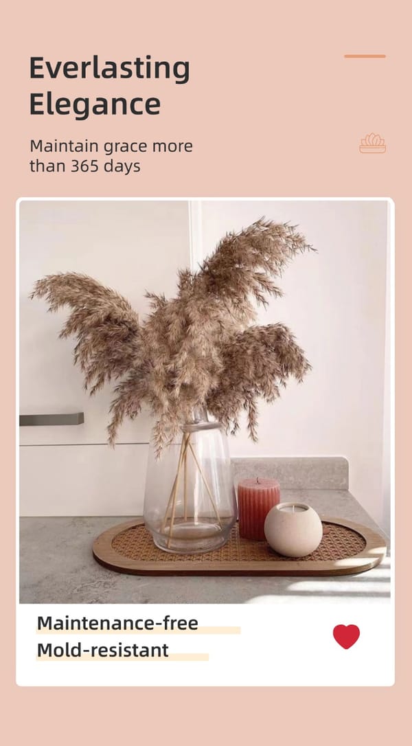 dried flower supplier