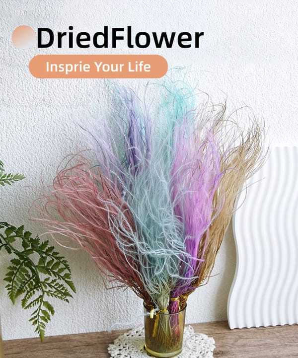 Feather Grass supplier