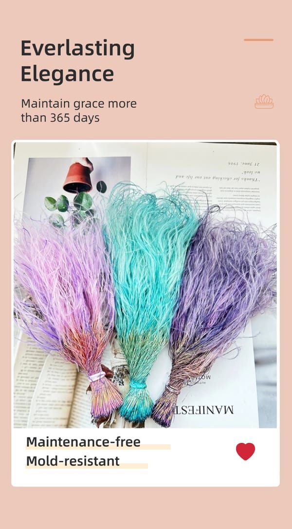 Feather Grass wholesale