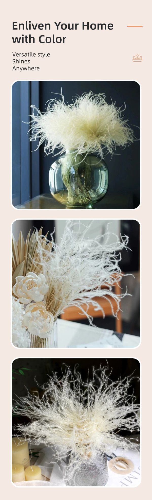 dried flower supplier