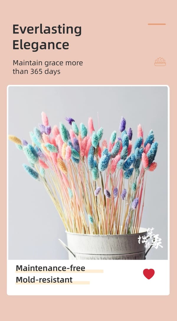 dried flower supplier