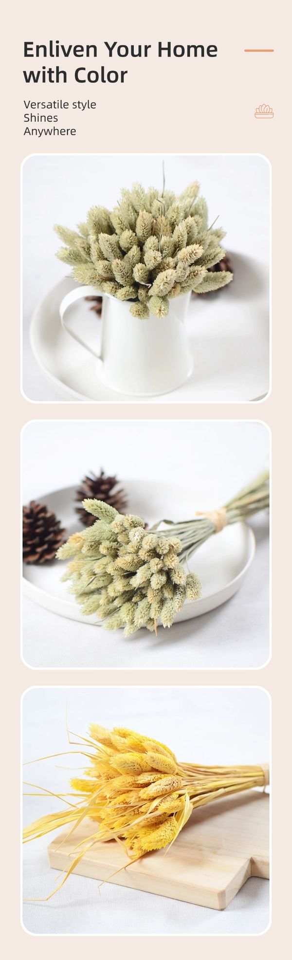 dried flower wholesale