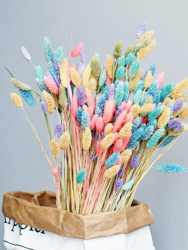 dried flower low MOQ