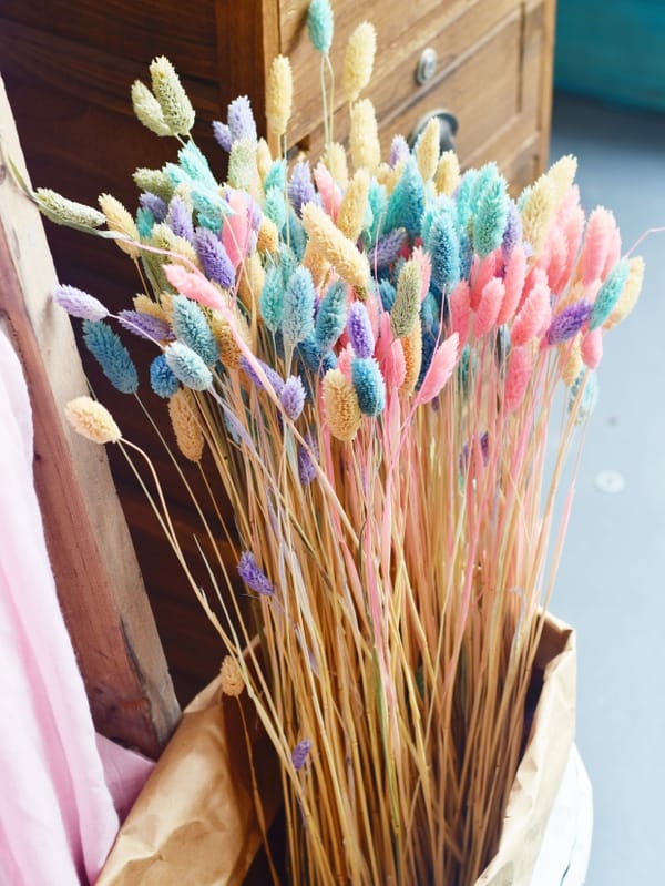 dried flower low price