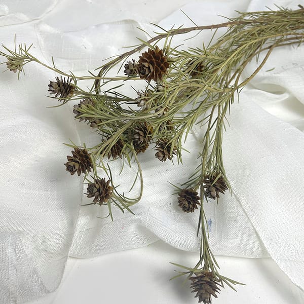 dried flower supplier