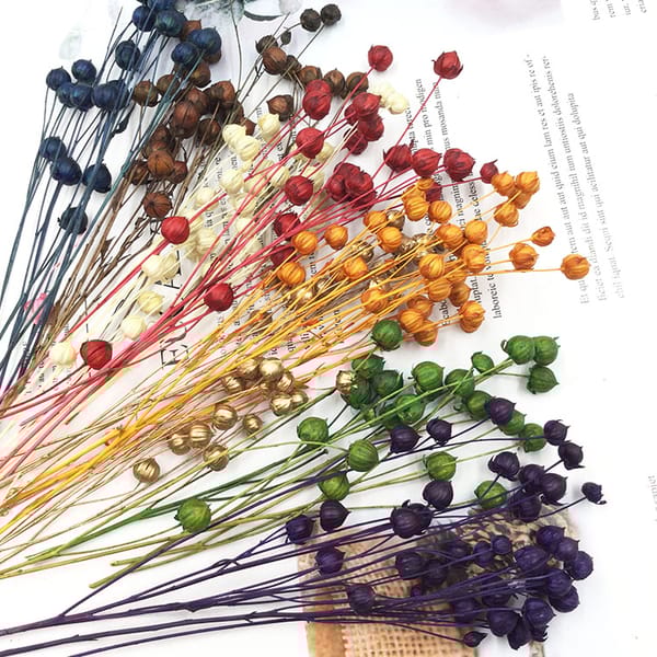 dried flower low price