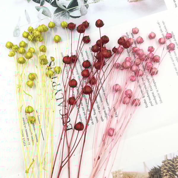 dried flower low MOQ