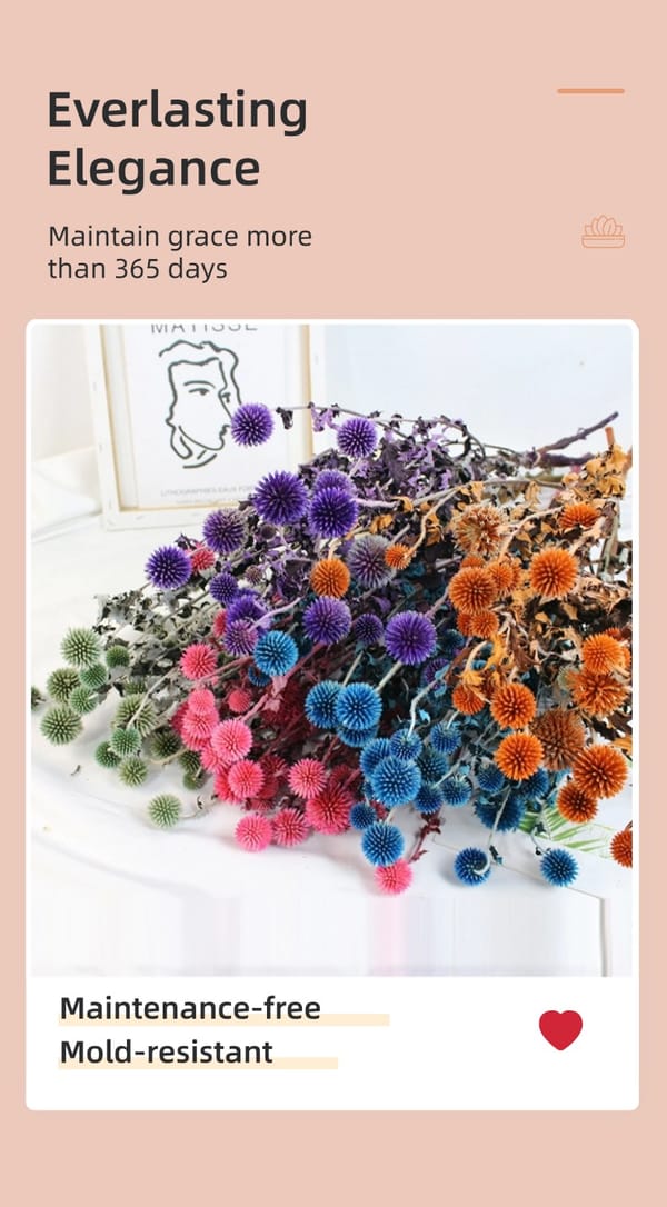 dired flower supplier