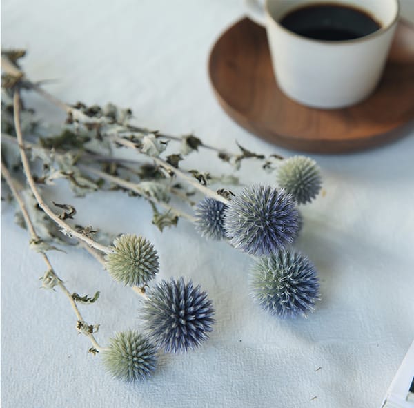 dried flower low price