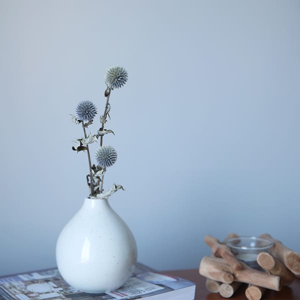 dried flower distributor
