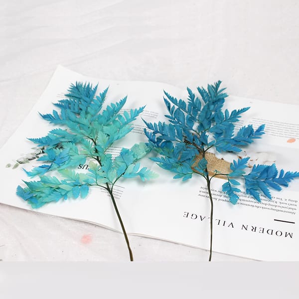 preserved flower low price
