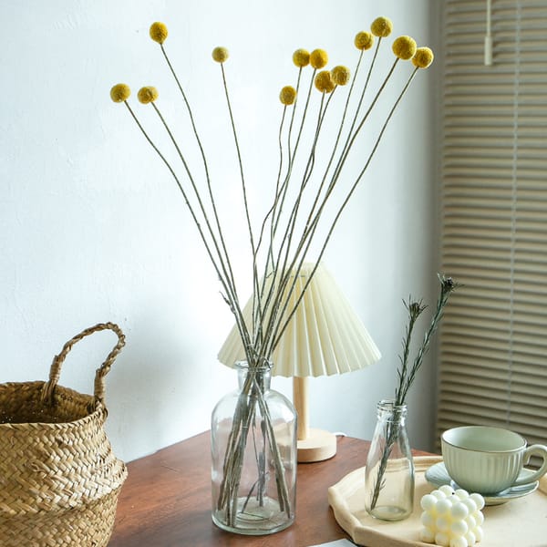 preserved flower distributor