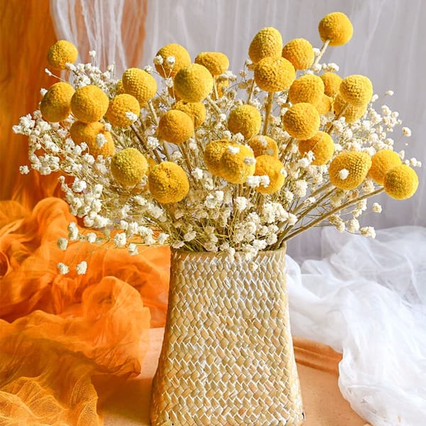 preserved flower low MOQ