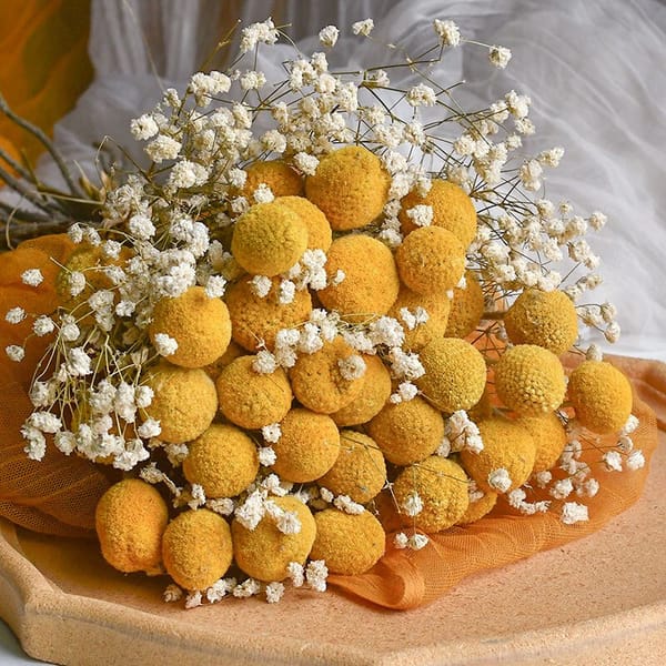 preserved flower low price