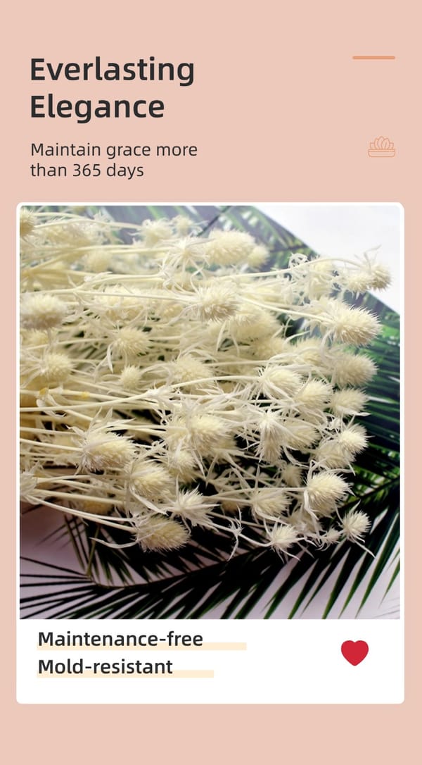 preserved flower supplier