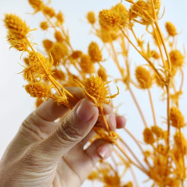 preserved flower factory source