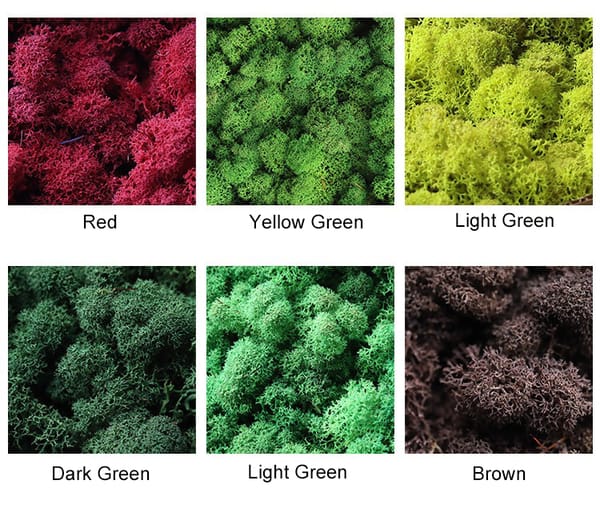 Premium Preserved Reindeer Moss customization