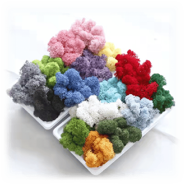 dried floer customization