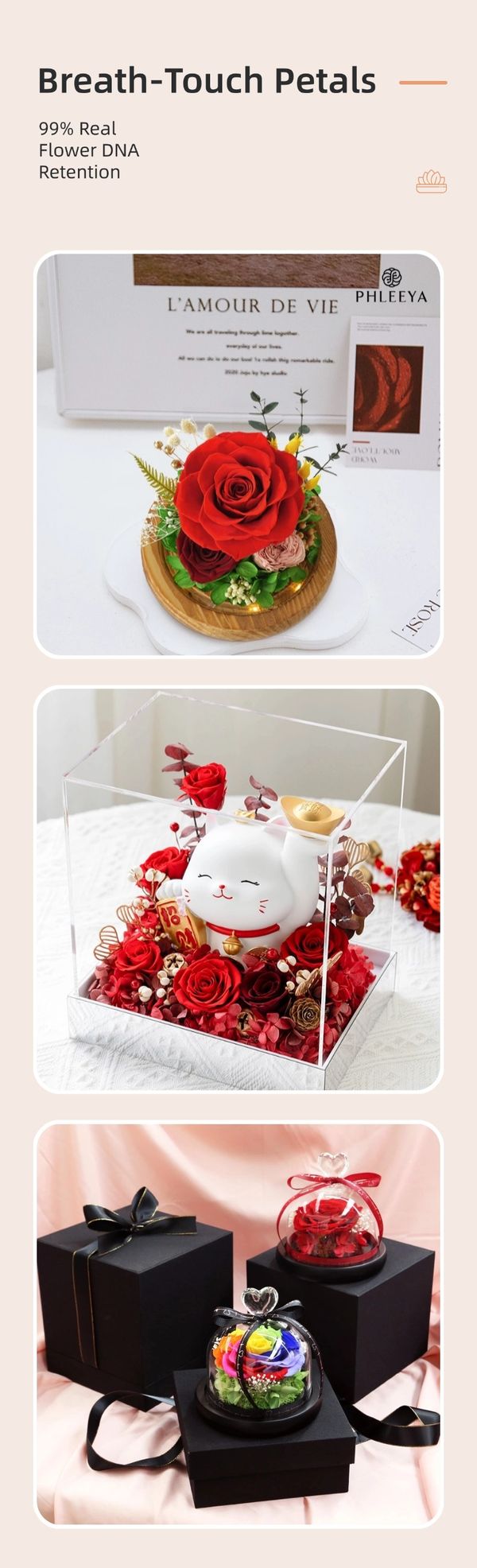 preserved rose head customization