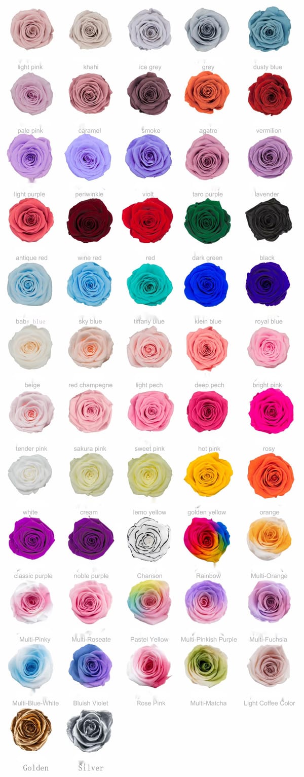 preserved rose head color card