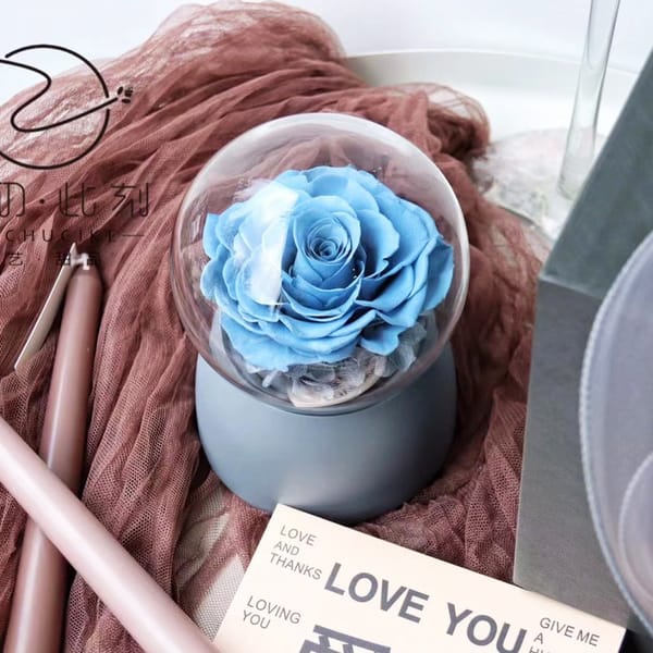 preserved flower supplier